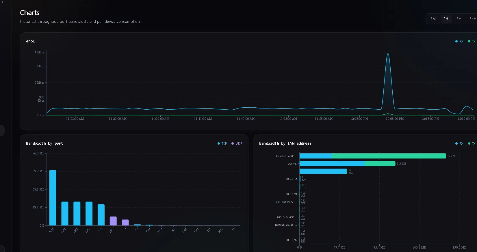 NetWatch dashboard showing live network traffic charts